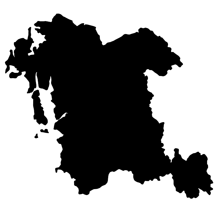충남